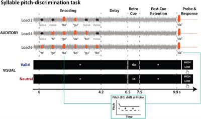 The Benefit of Attention-to-Memory Depends on the Interplay of Memory Capacity and Memory Load